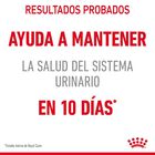 Royal Canin Urinary Sobre en Salsa para gatos, , large image number null